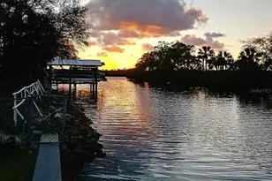 831 Riverview Ln, Tarpon Springs, FL 34689 - Photo 10