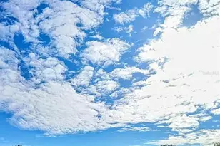 831 Riverview Ln, Tarpon Springs, FL 34689 - Photo 28