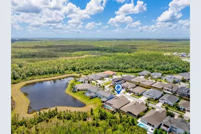 16712 Courtyard Loop, Land O Lakes, FL 34638 - Photo 66