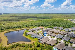 16712 Courtyard Loop, Land O Lakes, FL 34638 - Photo 66