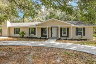 31440 Prestwick Ave, Sorrento, FL 32776 - Photo 2