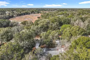 31440 Prestwick Ave, Sorrento, FL 32776 - Photo 36