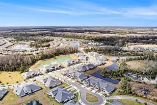 17244 Tortoise Crown Blvd, Land O Lakes, FL 34638 - Photo 32