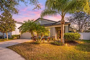 11652 Palmetto Pine St, Riverview, FL 33569 - Photo 1