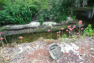 90 Sugar Bear Dr, Safety Harbor, FL 34695 - Photo 30