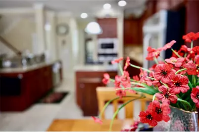 19822 Prince Benjamin Drive, Lutz, FL 33549 - Photo 30