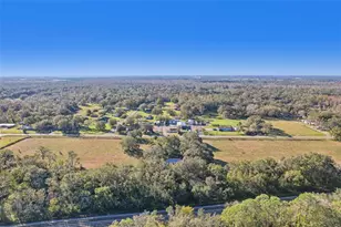 4610 E County Rd 542, Lakeland, FL 33801 - Photo 10