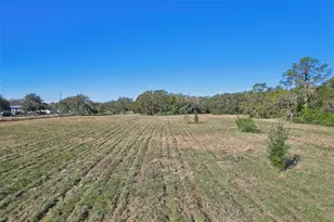 4610 E County Rd 542, Lakeland, FL 33801 - Photo 6