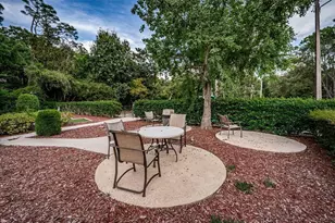 36750 US Hwy 19 N, Palm Harbor, FL 34683 - Photo 80