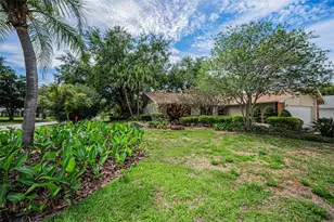 1700 Macdonnell Dr, Palm Harbor, FL 34684 - Photo 4