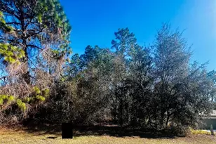 8039 N Creek Way, Citrus Springs, FL 34434 - Photo 1