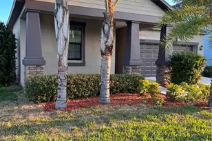 10616 Great Cormorant Dr, Riverview, FL 33579 - Photo 2