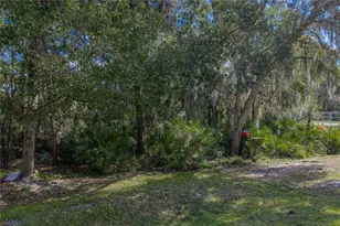 6414 Doe Path Ct, Wesley Chapel, FL 33545 - Photo 64