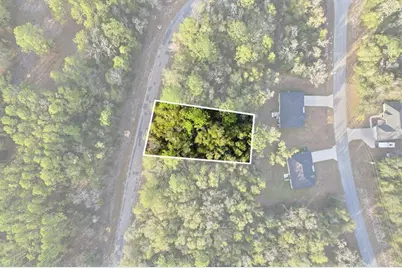 10887 N Ocean Drive, Citrus Springs, FL 34434 - Photo 4