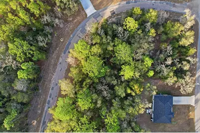 10887 N Ocean Drive, Citrus Springs, FL 34434 - Photo 14