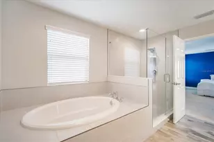 13108 Monach Isles Dr, Riverview, FL 33579 - Photo 12