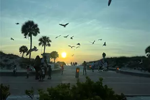 1505 Laura St, Clearwater, FL 33755 - Photo 70