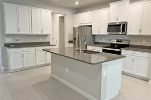 3254 Moonlit Lily Pl, Brandon, FL 33511 - Photo 6