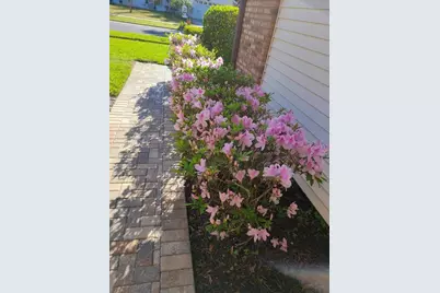 14908 Palmcrest Place, Tampa, FL 33625 - Photo 36