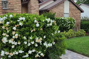 14908 Palmcrest Pl, Tampa, FL 33625 - Photo 46