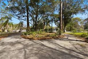 18324 Jorene Rd, Odessa, FL 33556 - Photo 74