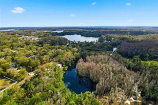 18324 Jorene Rd, Odessa, FL 33556 - Photo 66