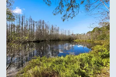 18324 Jorene Road, Odessa, FL 33556 - Photo 62