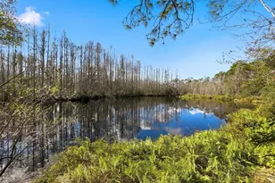 18324 Jorene Rd, Odessa, FL 33556 - Photo 62