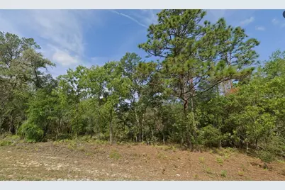 6502 N Matheson Drive, Citrus Springs, FL 34434 - Photo 2