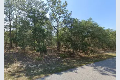 6004 N Darlington Drive, Citrus Springs, FL 34434 - Photo 2