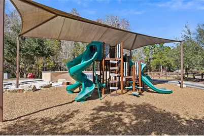 32756 Ansley Bloom Lane, Wesley Chapel, FL 33543 - Photo 48