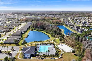 32756 Ansley Bloom Ln, Wesley Chapel, FL 33543 - Photo 44