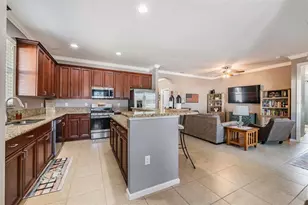 19341 Red Sky Ct, Land O Lakes, FL 34638 - Photo 10