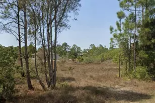 919 Euclid Ave, Lehigh Acres, FL 33972 - Photo 2