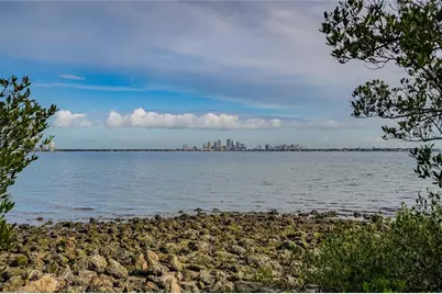 6213 Sanders Drive, Tampa, FL 33611 - Photo 8