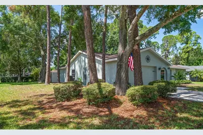 3600 Fairway Forest Circle, Palm Harbor, FL 34685 - Photo 26