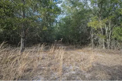 Tbd SW Maplewood Place #LOT 5, Fort White, FL 32038 - Photo 6
