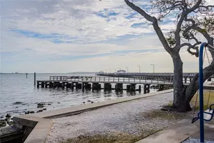 6213 Sanders Dr, Tampa, FL 33611 - Photo 44