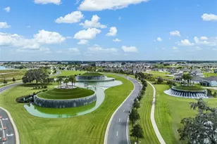 10474 Echo Dock Loop, San Antonio, FL 33576 - Photo 86