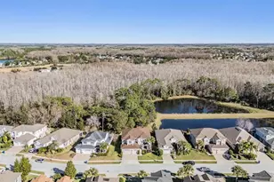 8506 Eagle Brook Dr, Land O Lakes, FL 34638 - Photo 52