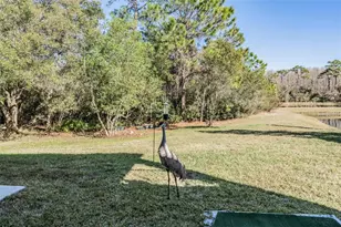 8506 Eagle Brook Dr, Land O Lakes, FL 34638 - Photo 40