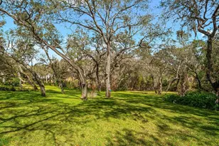 653 Old East Lake Rd, Tarpon Springs, FL 34688 - Photo 56
