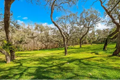 653 Old East Lake Road, Tarpon Springs, FL 34688 - Photo 54