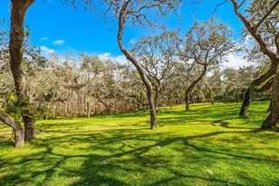 653 Old East Lake Rd, Tarpon Springs, FL 34688 - Photo 54