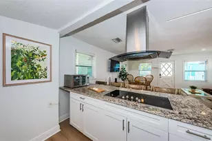 504 70th Ave, Saint Pete Beach, FL 33706 - Photo 54