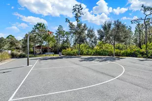 11935 Cross Vine Dr, Riverview, FL 33579 - Photo 62