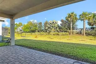 32676 Tree of Life Ave, Wesley Chapel, FL 33543 - Photo 36