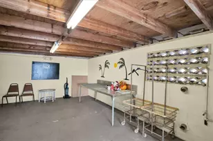 7801 34th Ave N, Saint Petersburg, FL 33710 - Photo 30