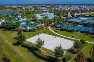 5989 Golden Nettle Dr, Apollo Beach, FL 33572 - Photo 76