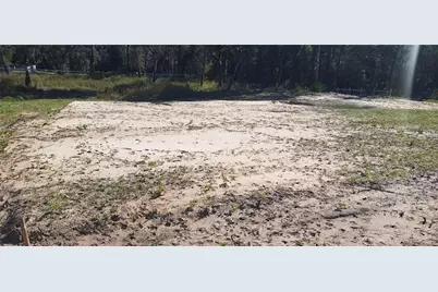 7285 Norman Street, Webster, FL 33597 - Photo 10